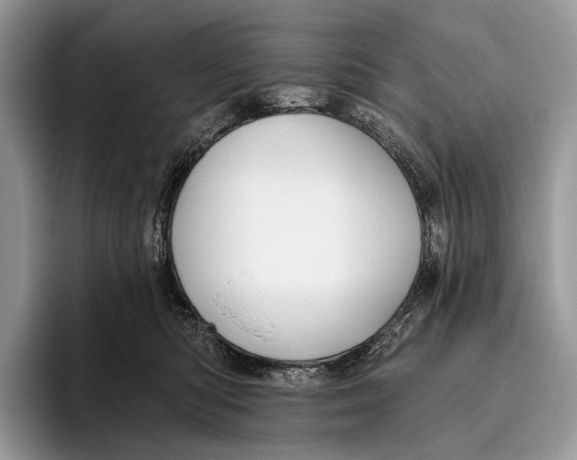 X0000095930422200802011025