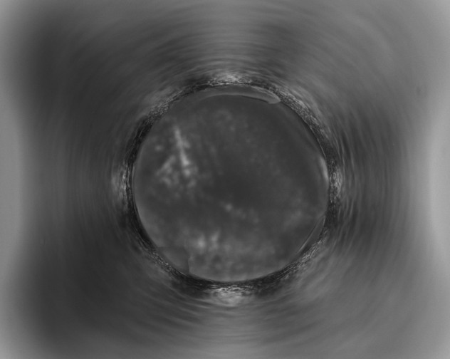X0000095930423200802011025