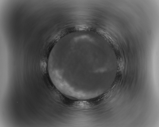 X0000095930427200802011025