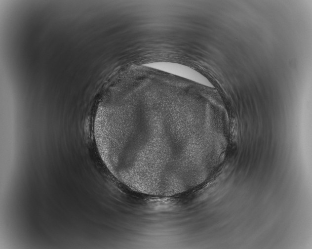 X0000095930428200802011025