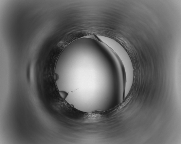X0000095930429200802011025