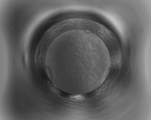 X0000095930431200802011025