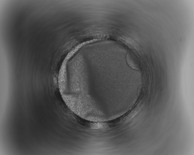 X0000095930432200802011025