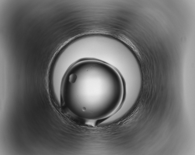X0000095930436200802011024