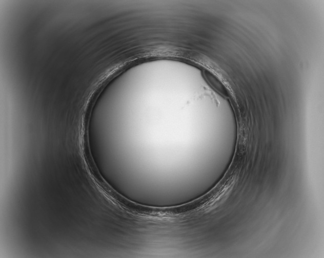 X0000095930437200802011024