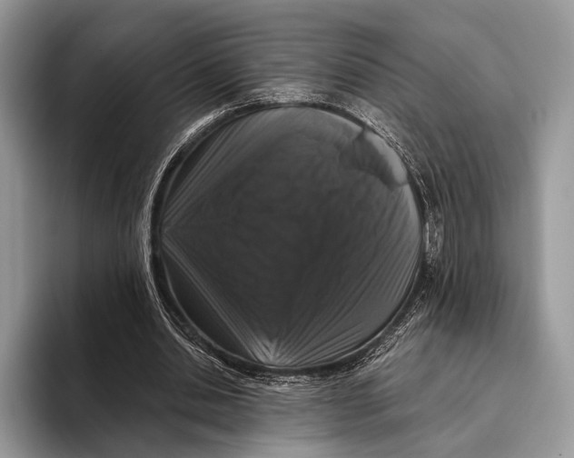 X0000095930438200802011024