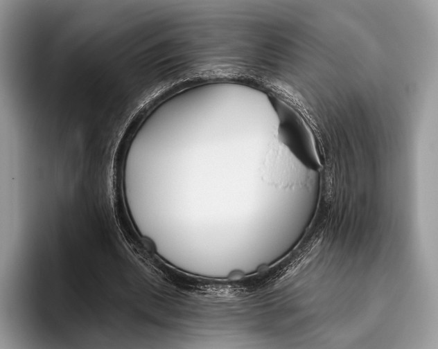 X0000095930439200802011024