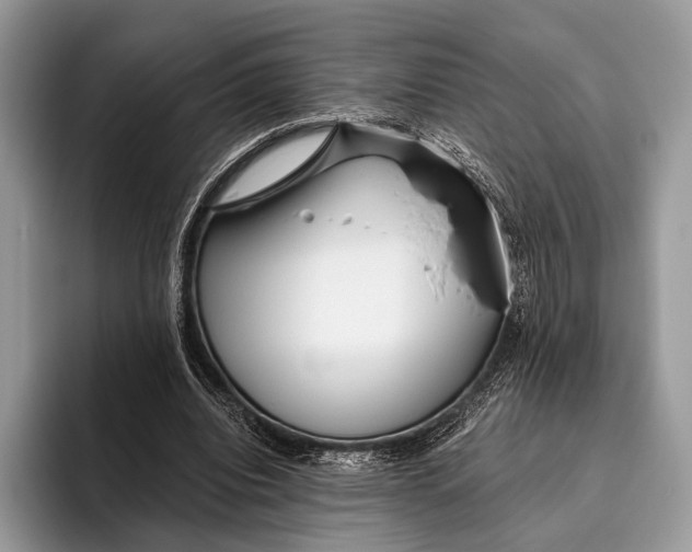 X0000095930440200802011024