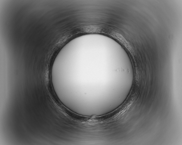 X0000095930441200802011024