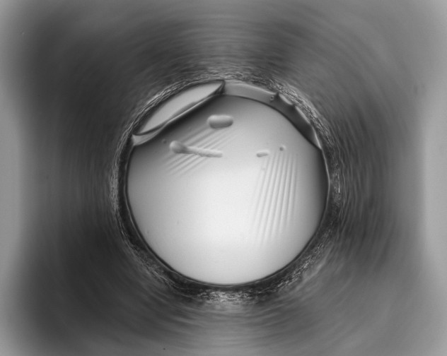 X0000095930442200802011024