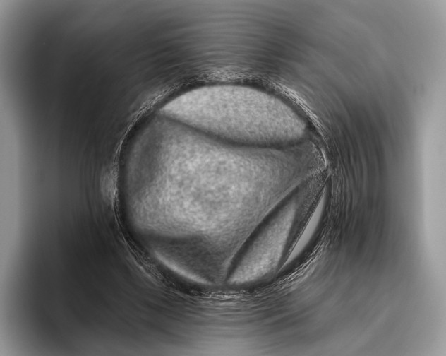 X0000095930443200802011024