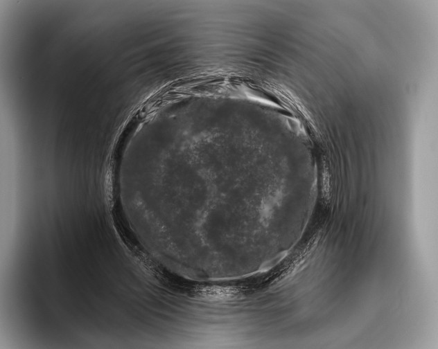 X0000095930444200802011024