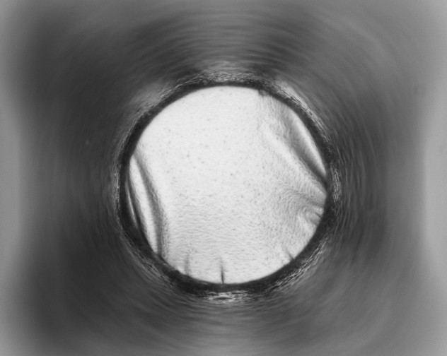 X0000095930447200802011024