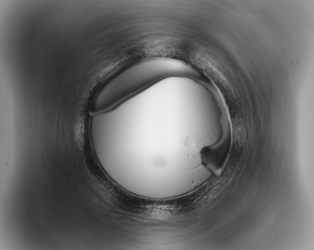 X0000095930448200802011024