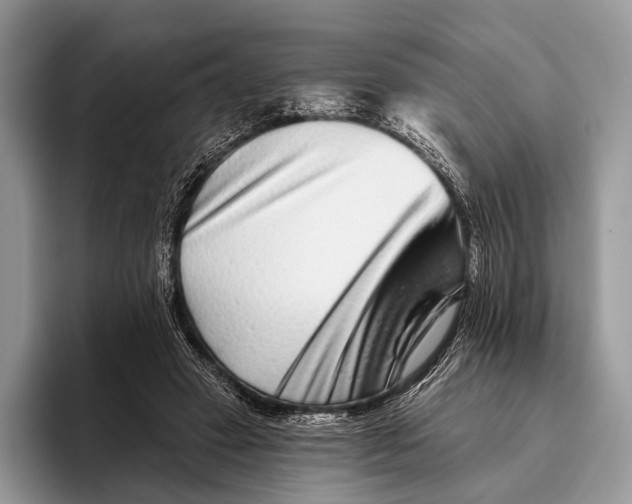 X0000095930449200802011024