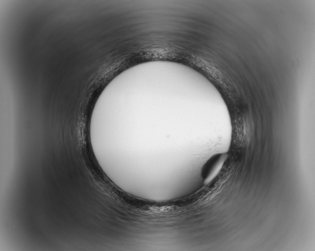 X0000095930450200802011024