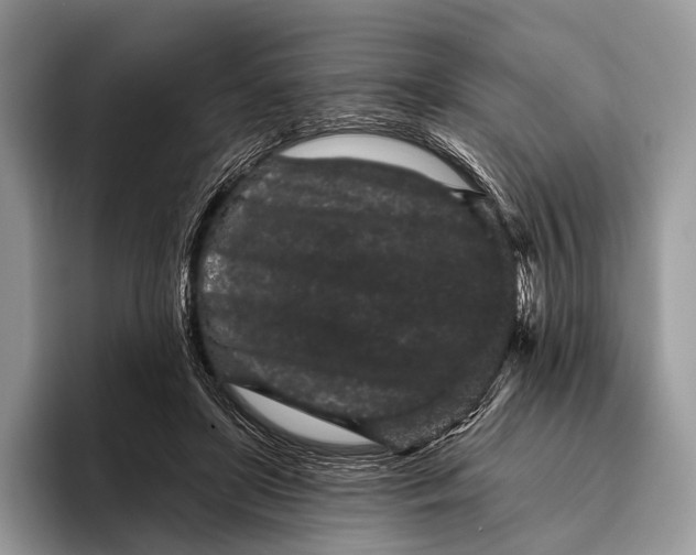 X0000095930451200802011024