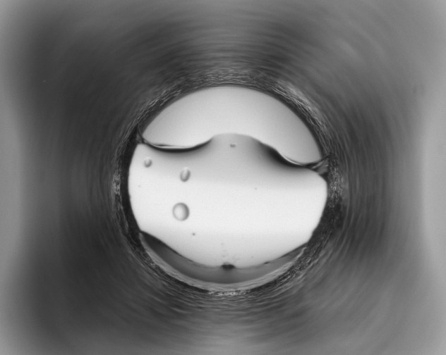 X0000095930452200802011024
