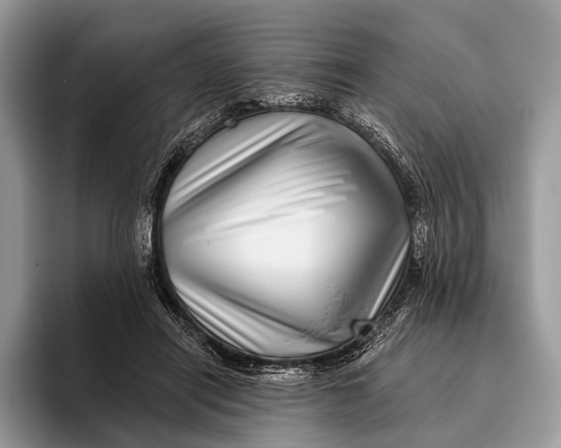X0000095930454200802011024