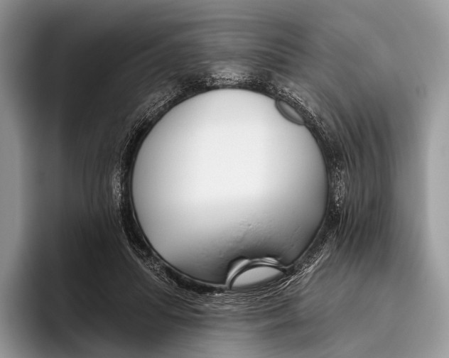 X0000095930455200802011024