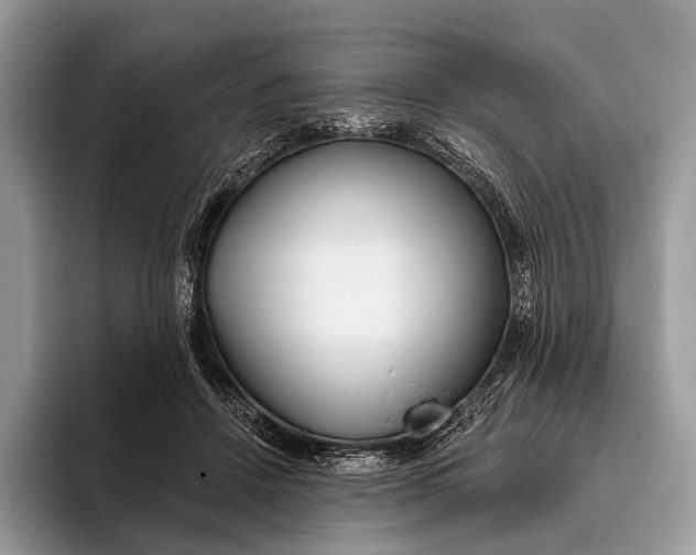 X0000095930456200802011024