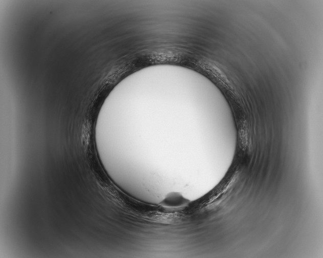 X0000095930458200802011024