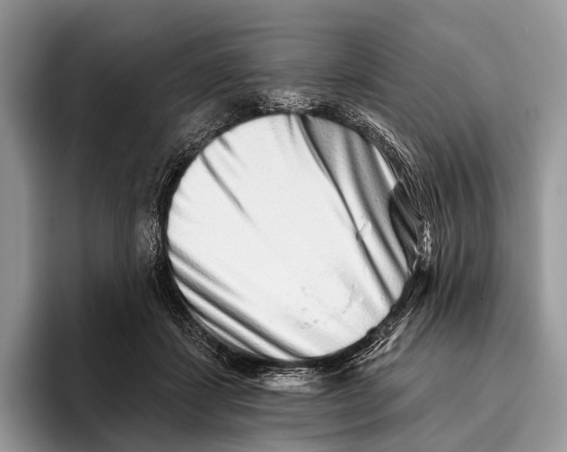 X0000095930459200802011024