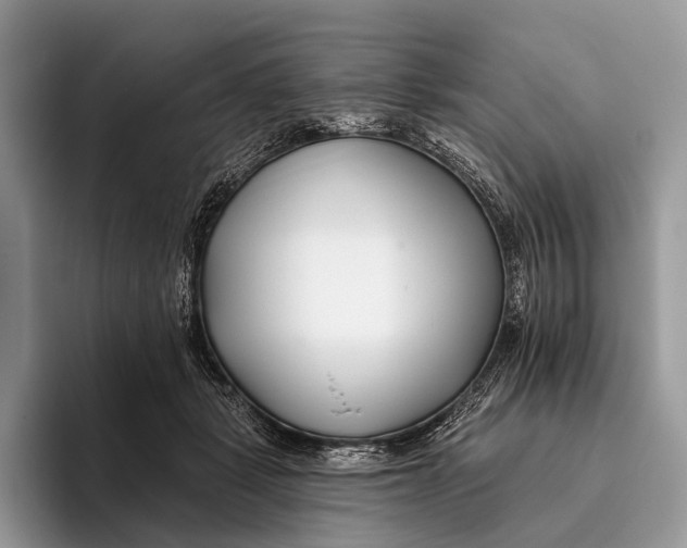 X0000095930461200802011024
