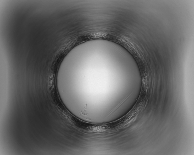 X0000095930462200802011024