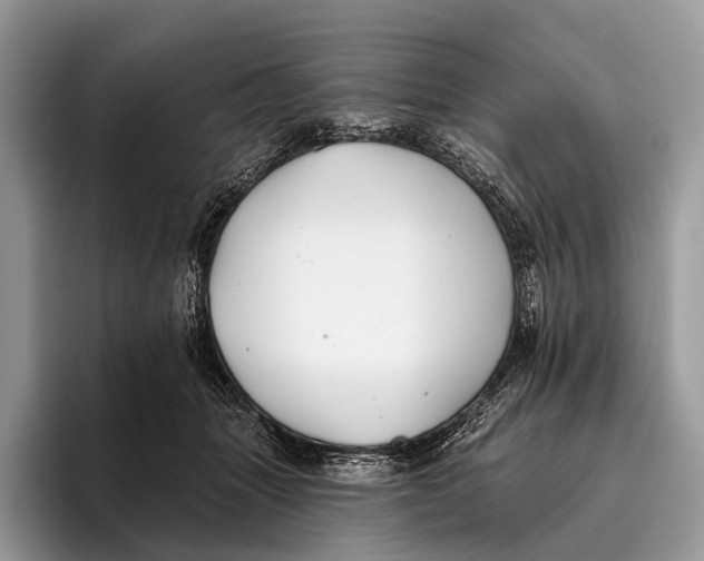 X0000095930463200802011024