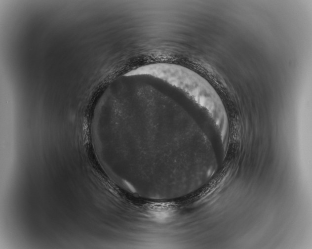 X0000095930465200802011024