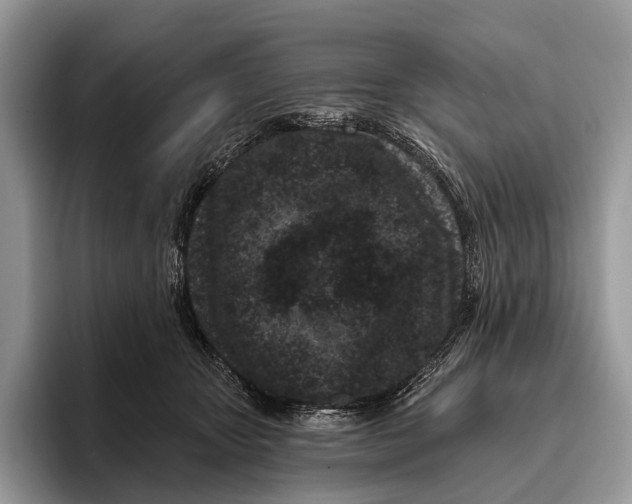 X0000095930467200802011024