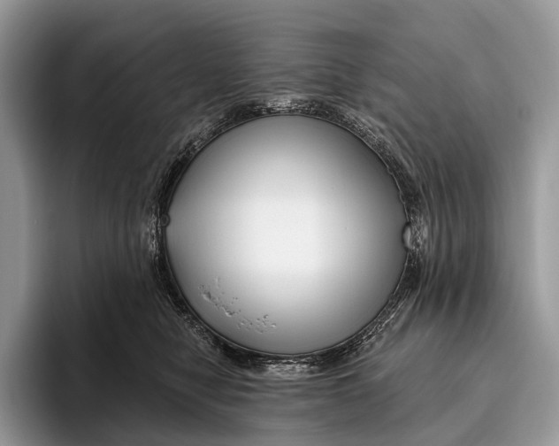 X0000095930470200802011025