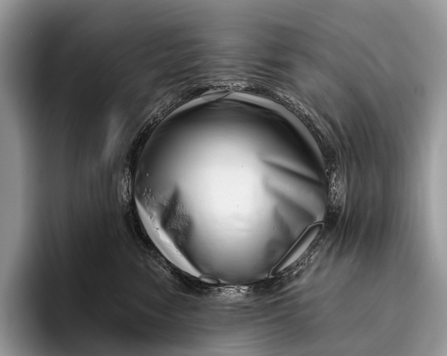 X0000095930474200802011025