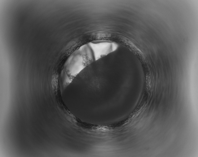 X0000095930475200802011025