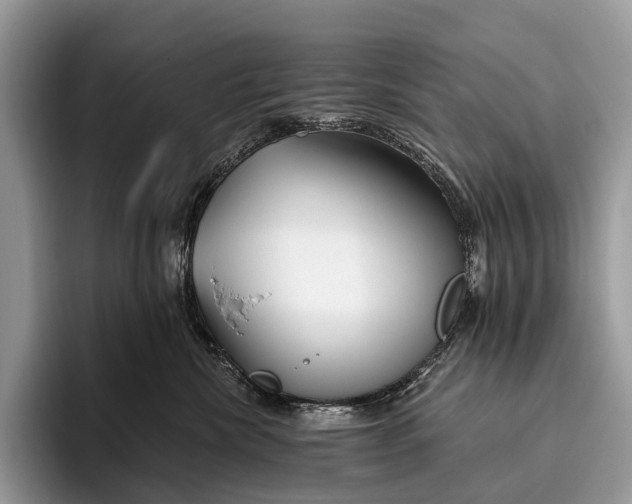 X0000095930476200802011025
