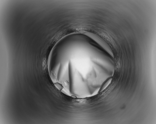 X0000095930478200802011025