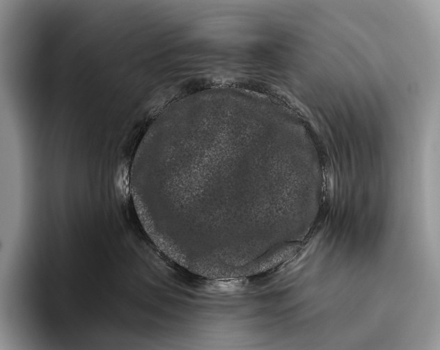 X0000095930479200802011025