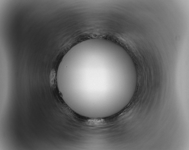 X0000095930480200802011025