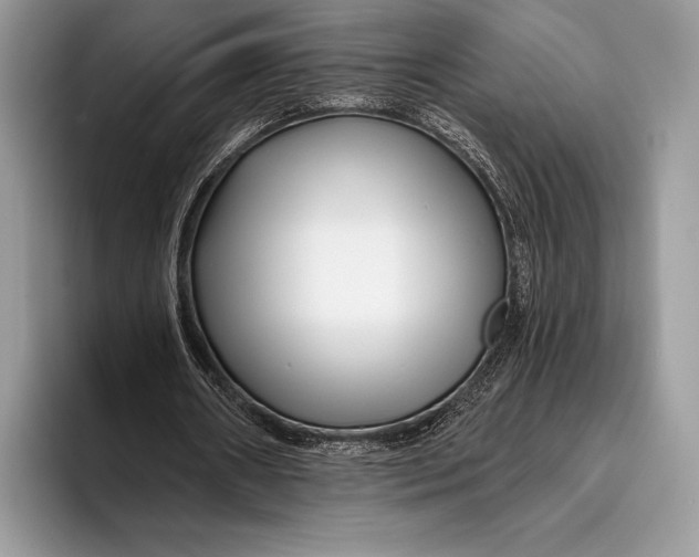 X0000095930482200802011024