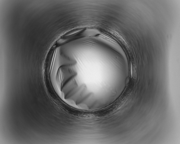 X0000095930483200802011024