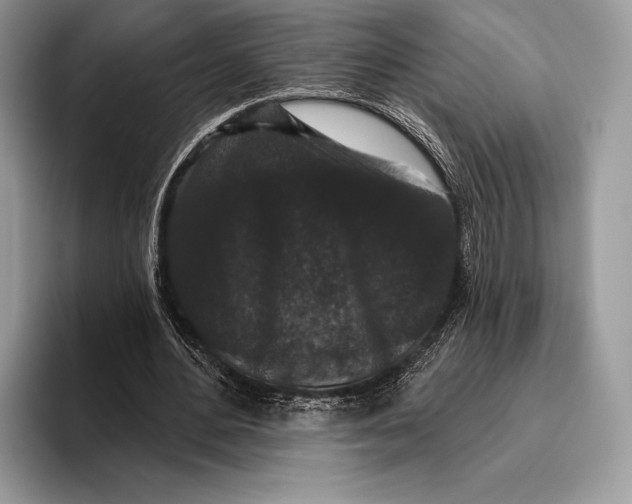 X0000095930484200802011024