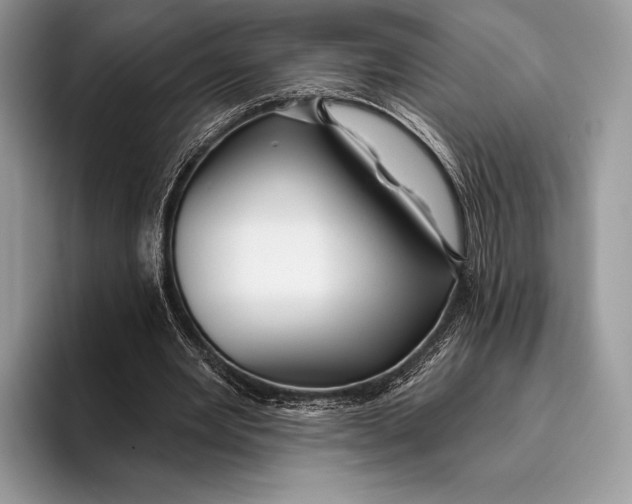 X0000095930485200802011024