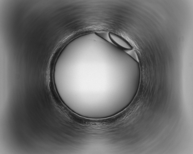X0000095930486200802011024