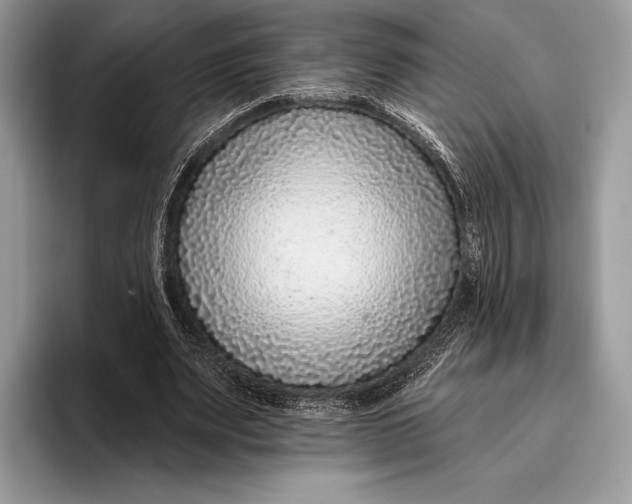 X0000095930487200802011024