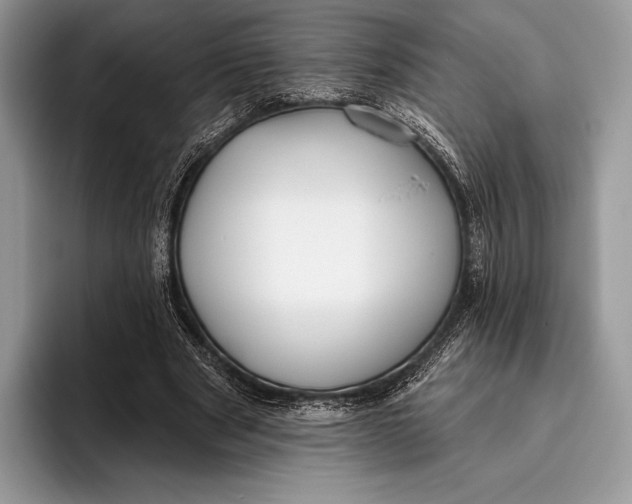 X0000095930489200802011024