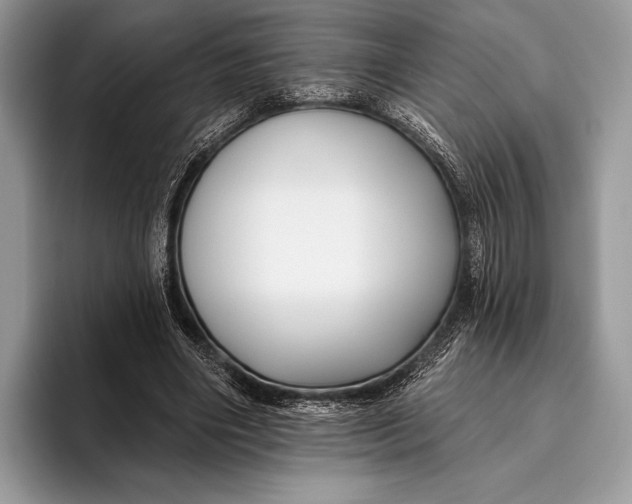 X0000095930490200802011024