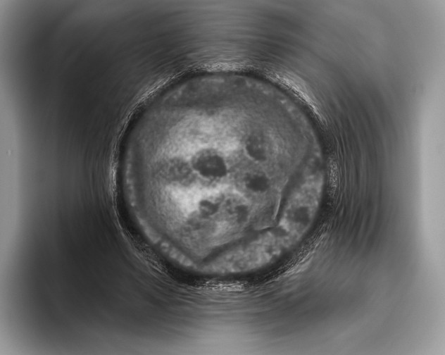 X0000095930491200802011024