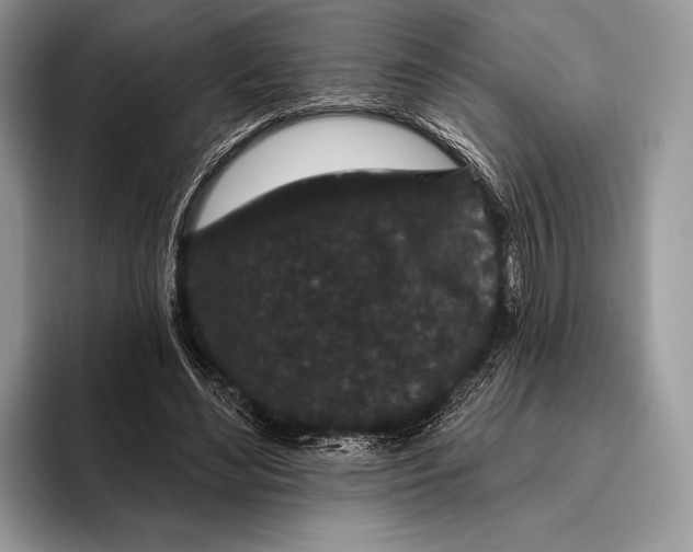 X0000095930492200802011024