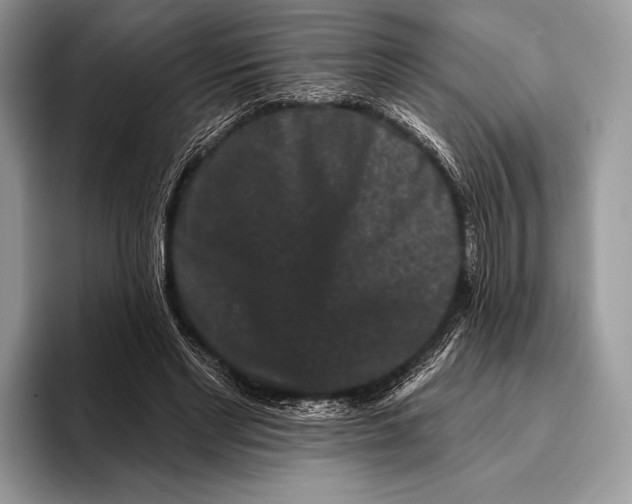 X0000095930493200802011024